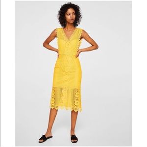 Yellow Lace Dress Zara for Sale up to 90% Off: Poshmark Yellow Lace Dress Zara for Sale up to 90% Off: Poshmark